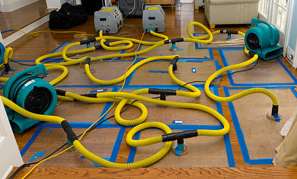 Professional Crawl Space Water Removal technician working in Flowood, MS